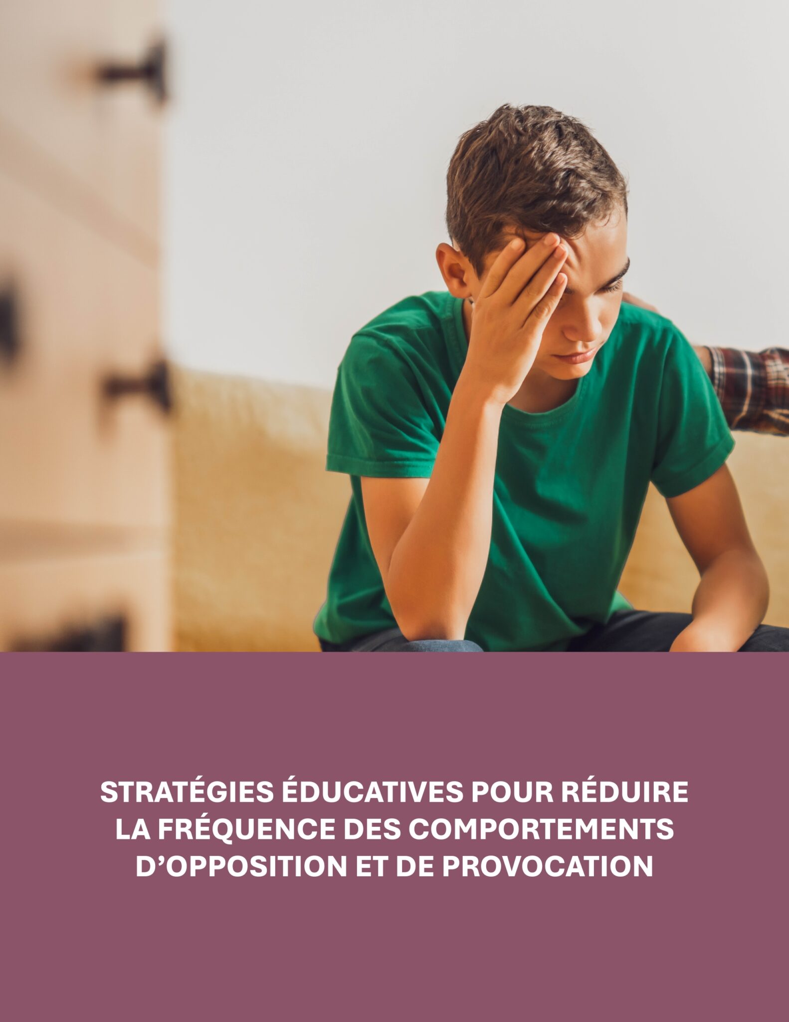 Prévente: La trilogie la santé mentale positive appliquée aux milieux scolaires – Image 20