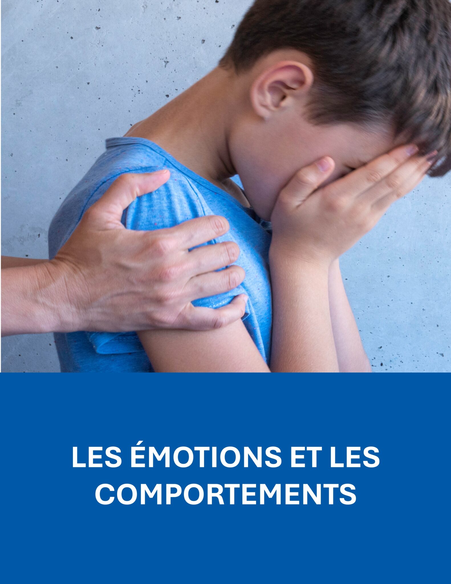 Prévente: La trilogie la santé mentale positive appliquée aux milieux scolaires – Image 5