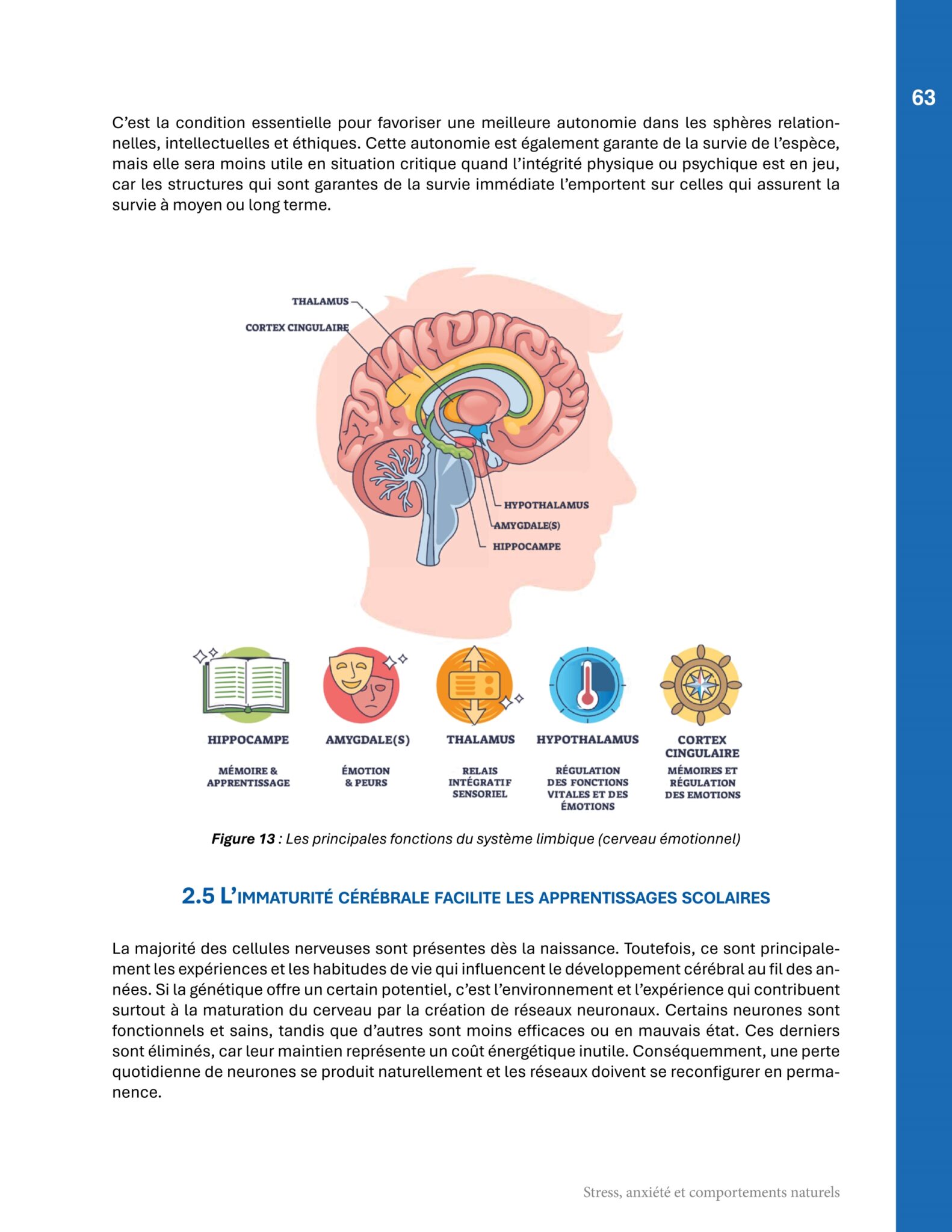 Prévente: La trilogie la santé mentale positive appliquée aux milieux scolaires – Image 29