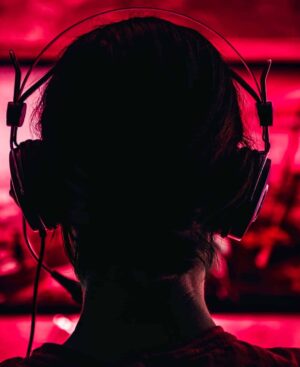 Le combat des chefs: comprendre, sensibiliser et intervenir - Joël Monzée