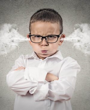 Déjouer les comportements dérangeants et irritants chez les enfants - Joël Monzée